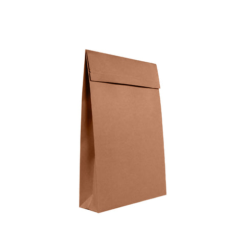 Image of medium kraft mailer with lock