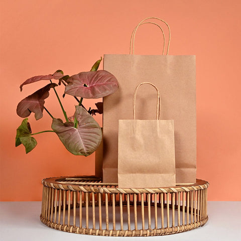 Image of Large and Small brown kraft paper bags | NEON packaging